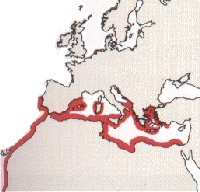 Carte_E_caninus