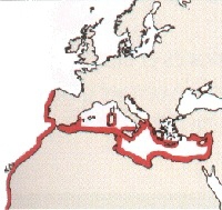 Carte_Mrou_blanc_2