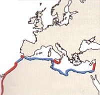 Carte_haifensis
