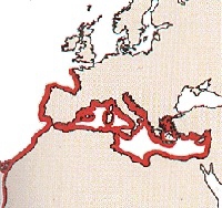 Carte_mrou_brun_2