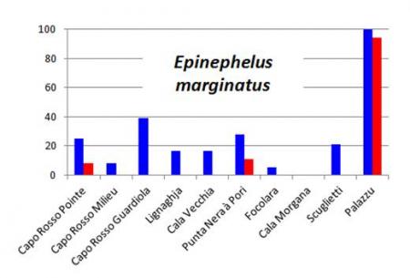 News / Moratoire / Marginatus et divers